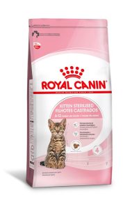 1ACC FHN KITTEN STERILISED 1