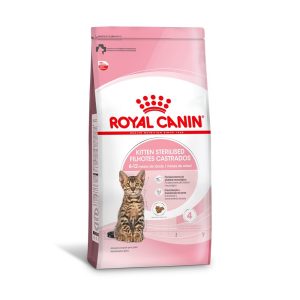 1ACC FHN KITTEN STERILISED 1