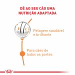 Produto Mini Pelagem