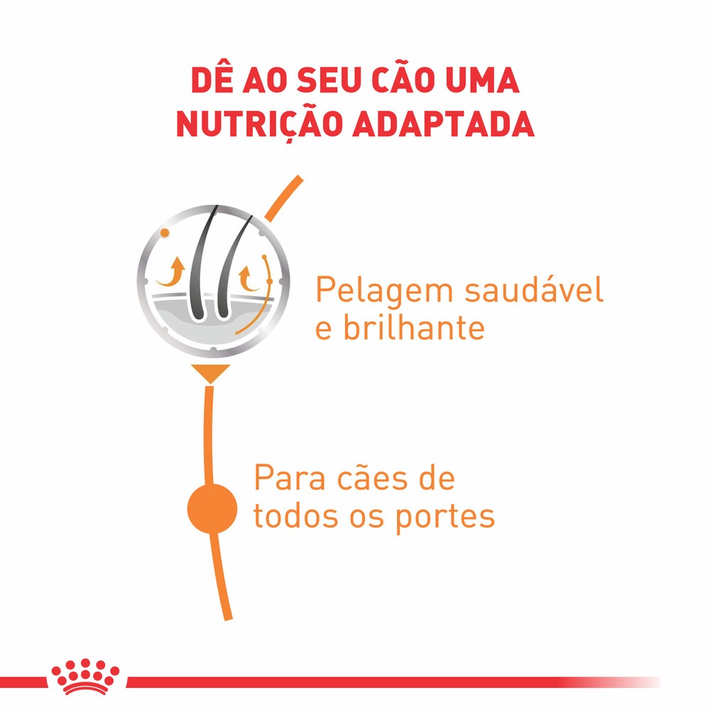 Produto Mini Pelagem
