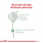 Cuidado digestivo