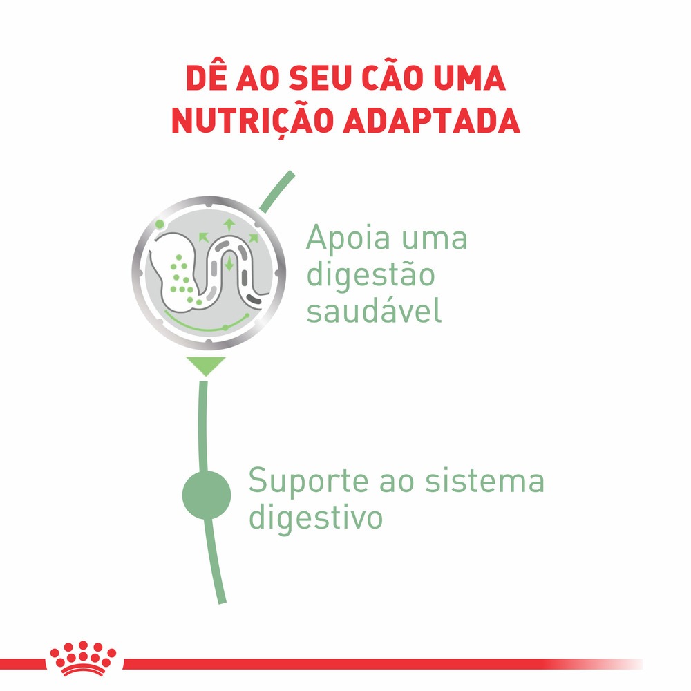 Cuidado digestivo