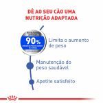 2ACC CCN MAXI LIGHT