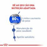 Produto Medium Light