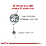 Cuiado dental
