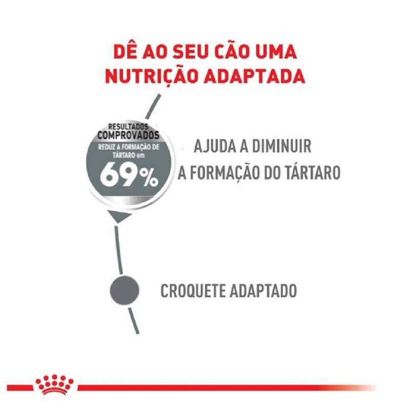 Cuiado dental