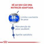 Produto Medium Light
