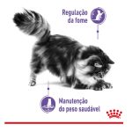 Controle apetite