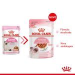 2ACC FHN KIT INSTINCTIVE WET