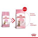 2ACC FHN KITTEN STERILISED