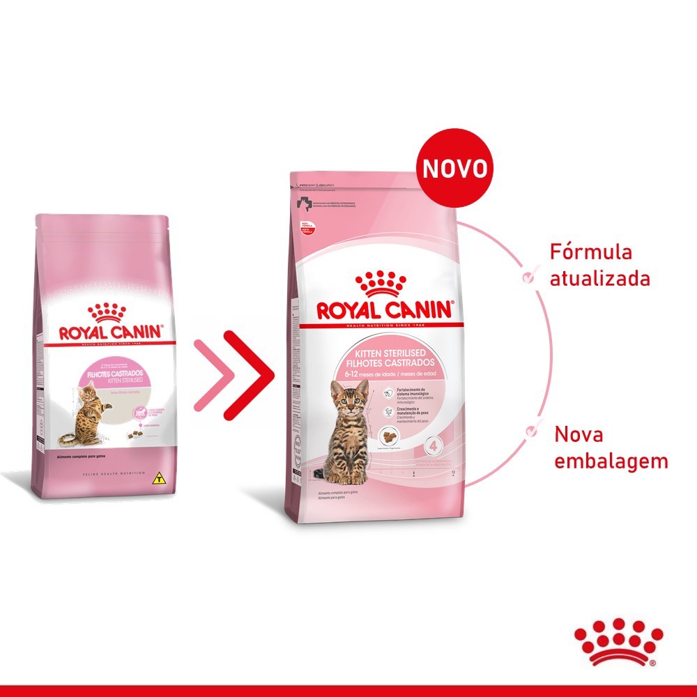 2ACC FHN KITTEN STERILISED