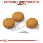 Produto Maxi Dermaconfort