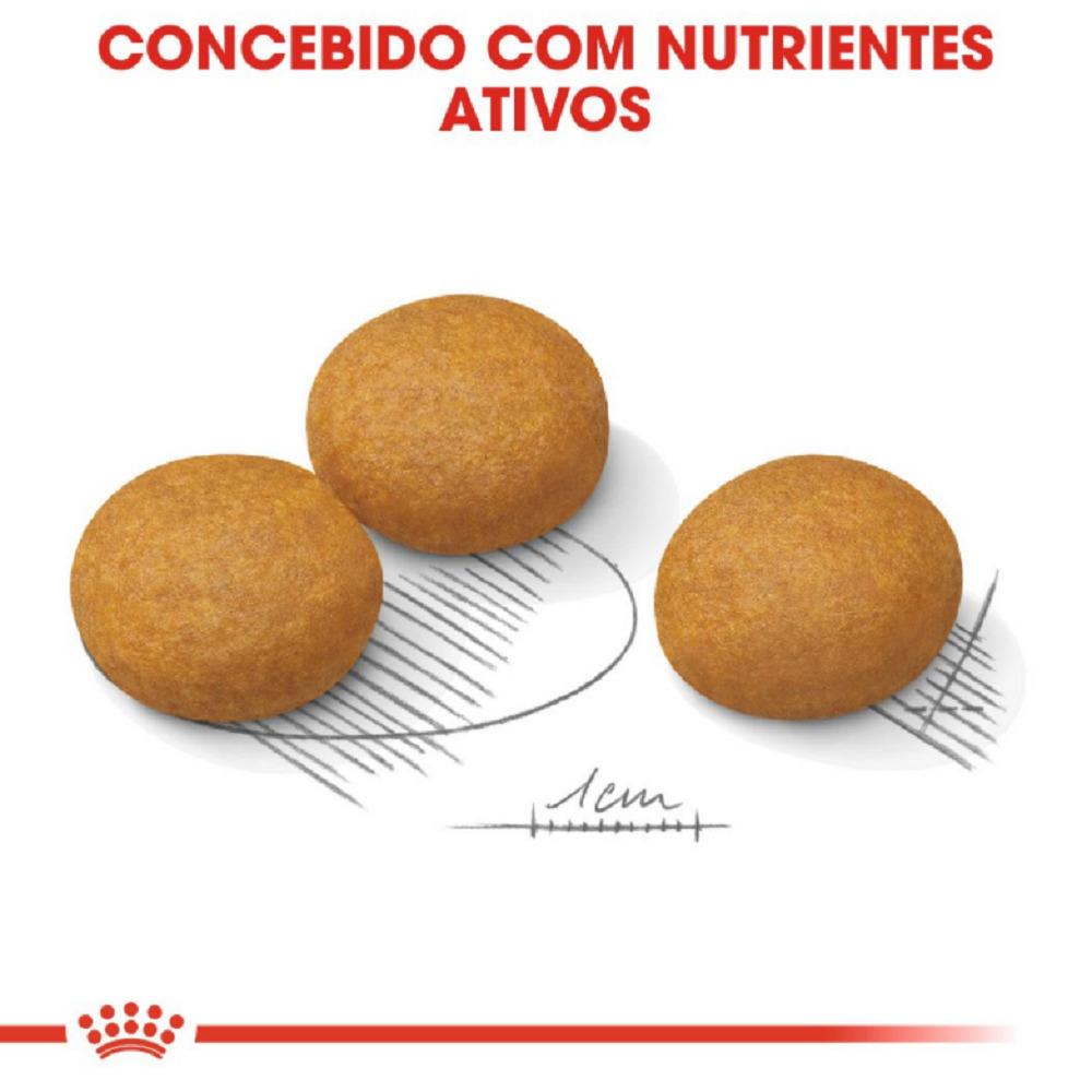 Maxi Dermacomfort - Portal Vet | Royal Canin