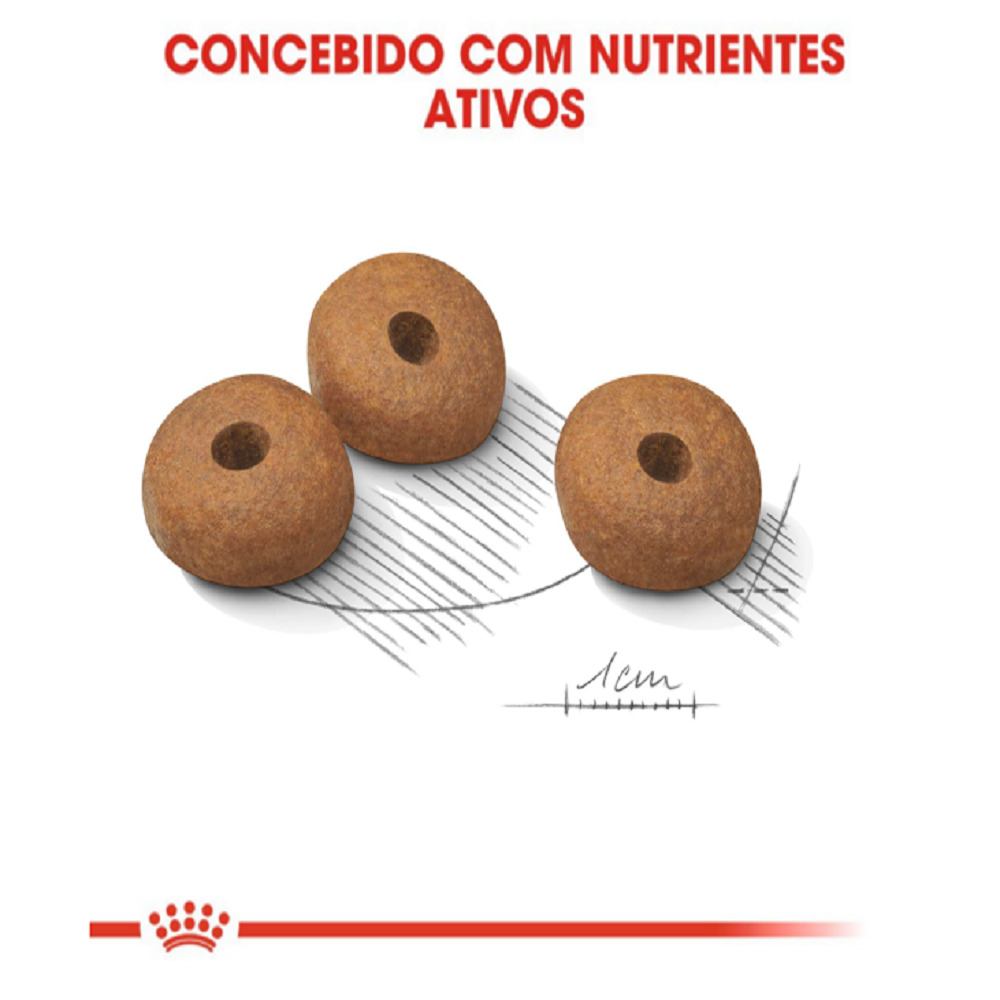 Produto Medium Light