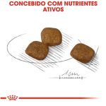Concebido Nutrientes Ativos