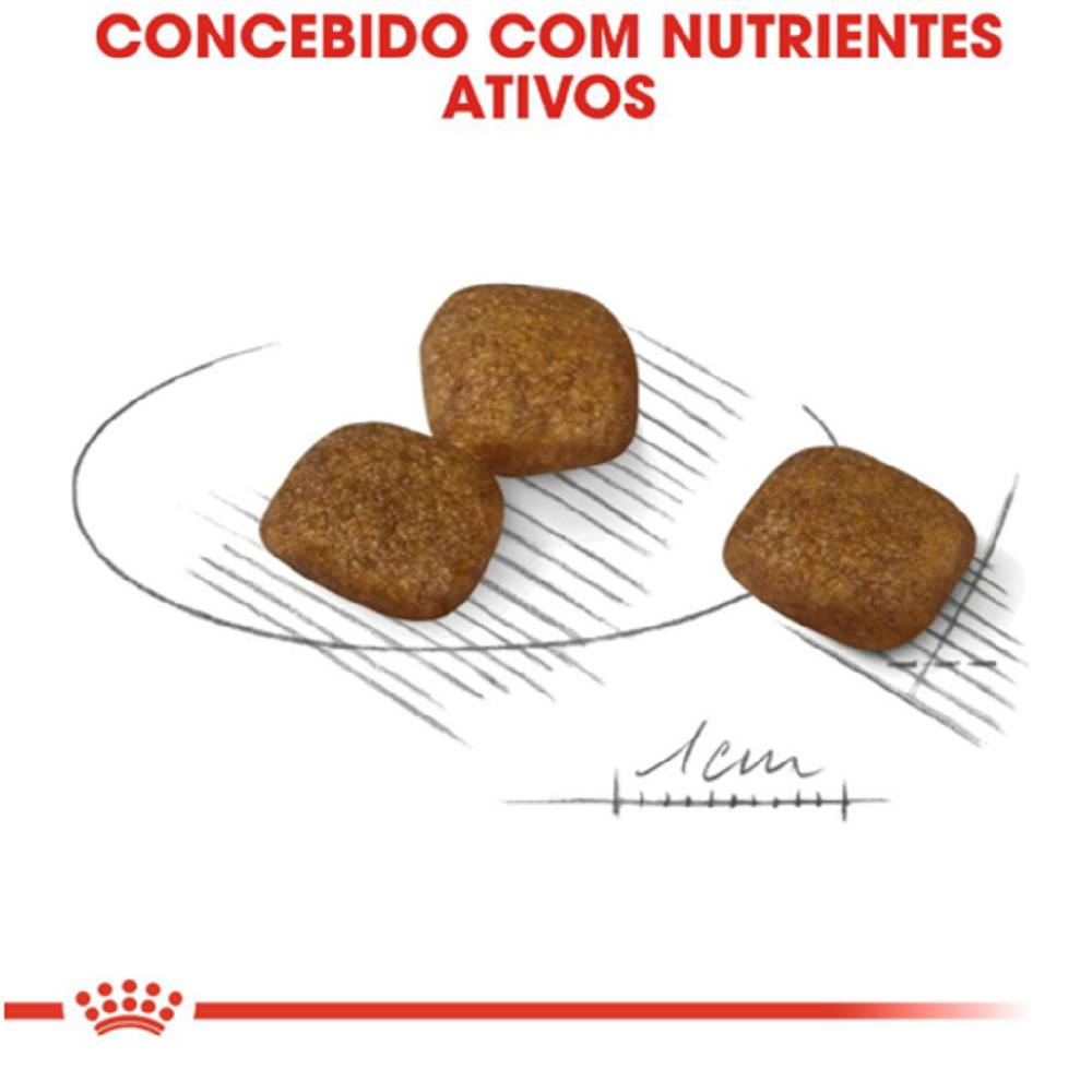 Concebido Nutrientes Ativos