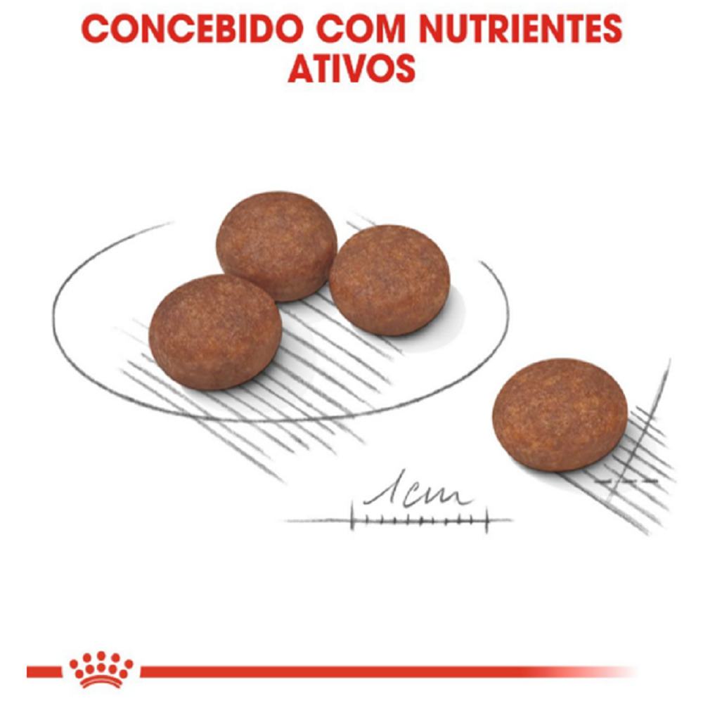 Cudiado digestivo