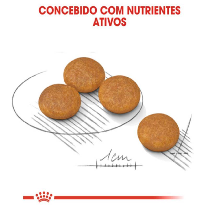 Produto Mini Derma