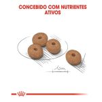 Produto Medium Light
