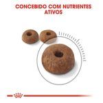 Concebo nutrientes ativos
