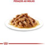 Pedaços molho