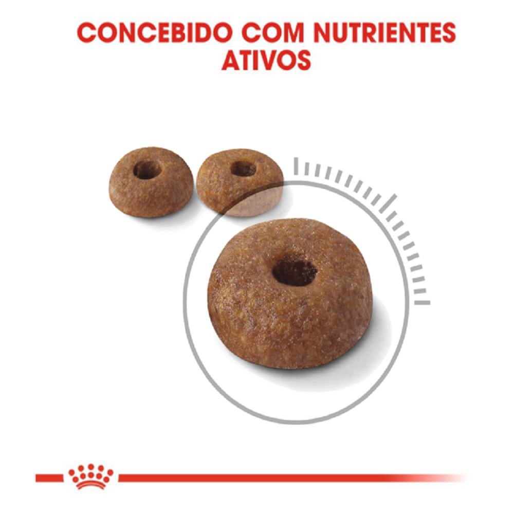 Concebo nutrientes ativos