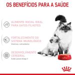 3ACC FHN BABY CAT INST WET 195G