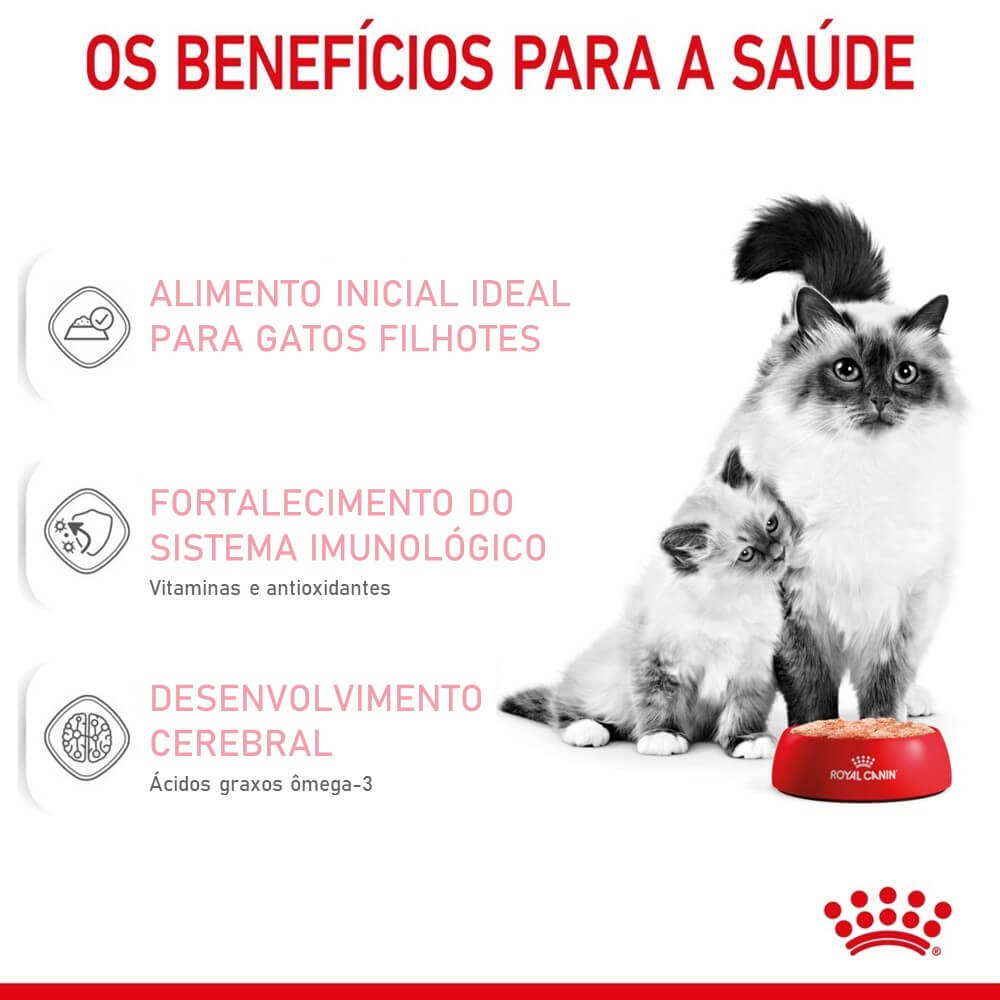 3ACC FHN BABY CAT INST WET 195G
