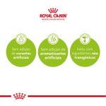 CLAIMS GMO 500x500 1