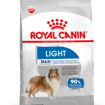 MAXI LIGHT F