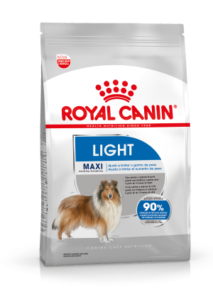 MAXI LIGHT F