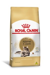 1ACC FBN MAINE COON 1 1