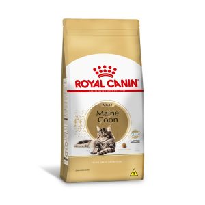 1ACC FBN MAINE COON 1 1