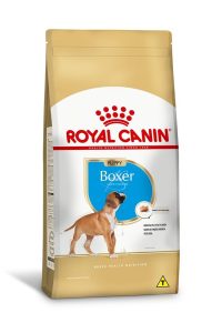 1ACC SBN BOXER PUPPY 1