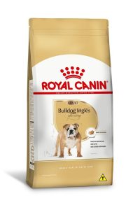 1ACC SBN BULLDOG ADULT 1