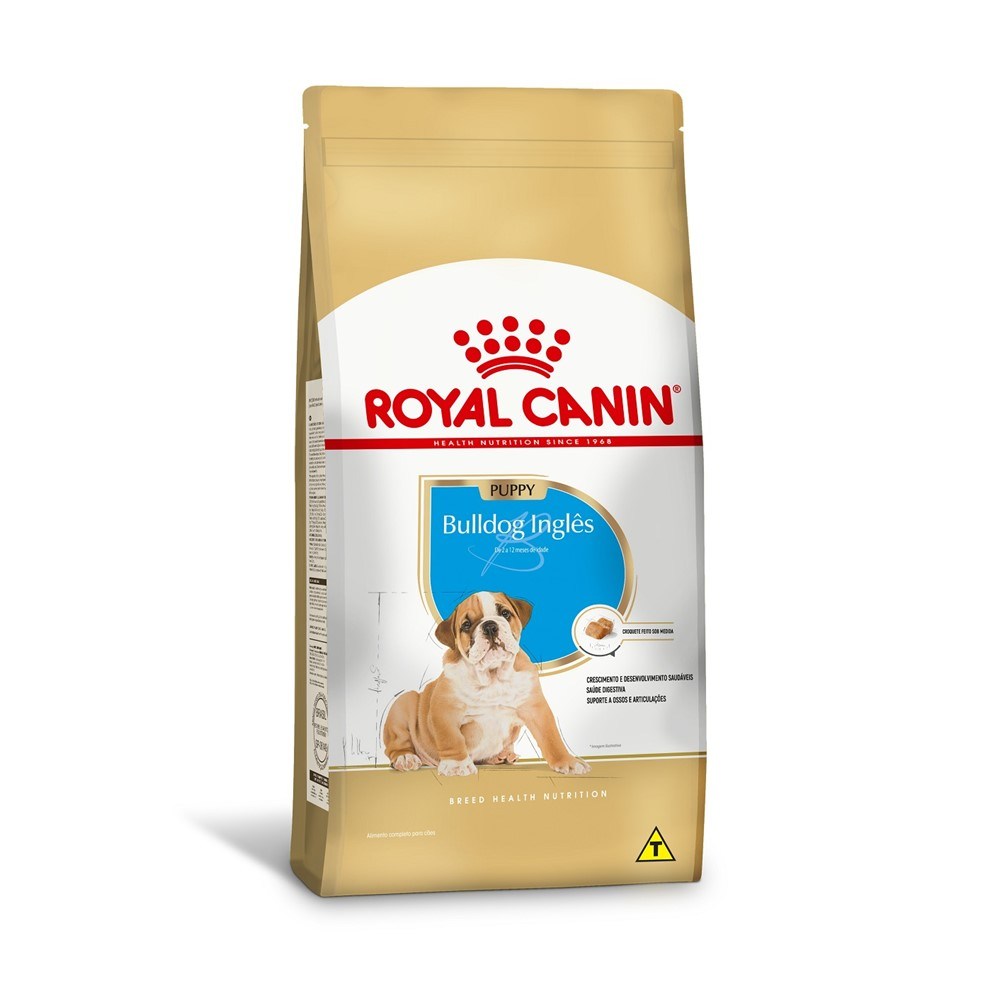 1ACC SBN BULLDOG PUPPY