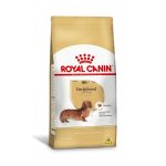 1ACC SBN DACHSHUND ADULT 1