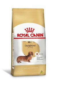 1ACC SBN DACHSHUND ADULT 1
