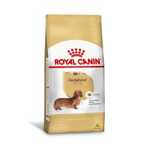 1ACC SBN DACHSHUND ADULT 1