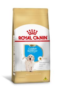 1ACC SBN GOLDEN PUPPY 1