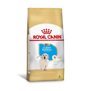 1ACC SBN GOLDEN PUPPY 1