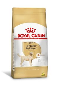 1ACC SBN LABRADOR ADULT 1