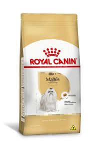 1ACC SBN MALTES ADULT 1