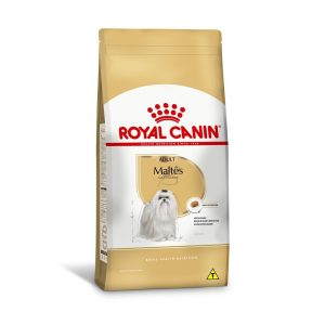 1ACC SBN MALTES ADULT 1
