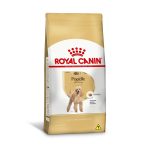 1ACC SBN POODLE ADULT 1