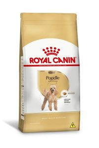 1ACC SBN POODLE ADULT 1