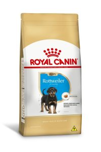 1ACC SBN ROTTWEILER PUPPY 1