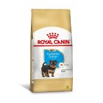 1ACC SBN YORKSHIRE PUPPY 1