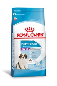 1ACC SHN GIANT PUPPY 1