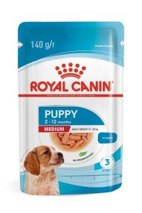 1ACC SHN MEDIUM PUPPY 1